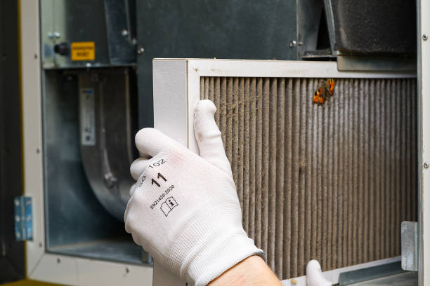 Best Air Quality Test  in Forest, VA