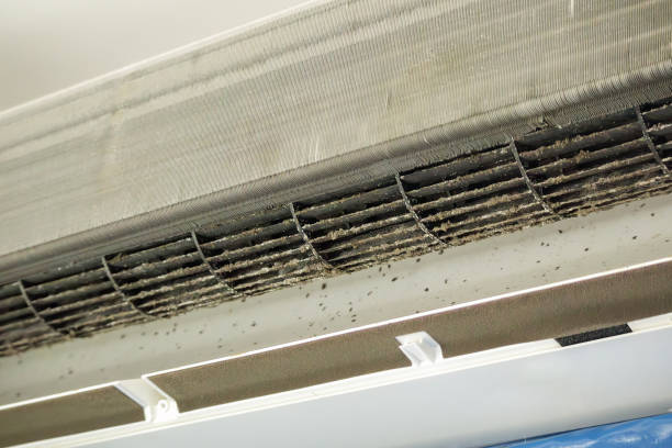 Best Affordable Air Duct Cleaning  in Forest, VA